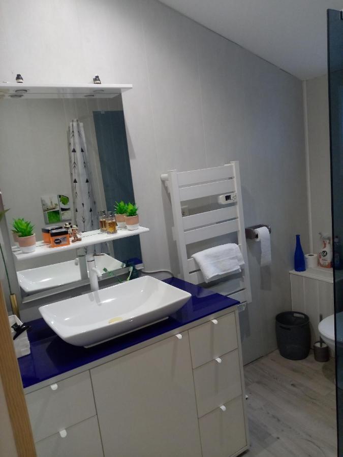 Au P'Tit Bonheur Apartment Saint-Rambert-d'Albon Luaran gambar